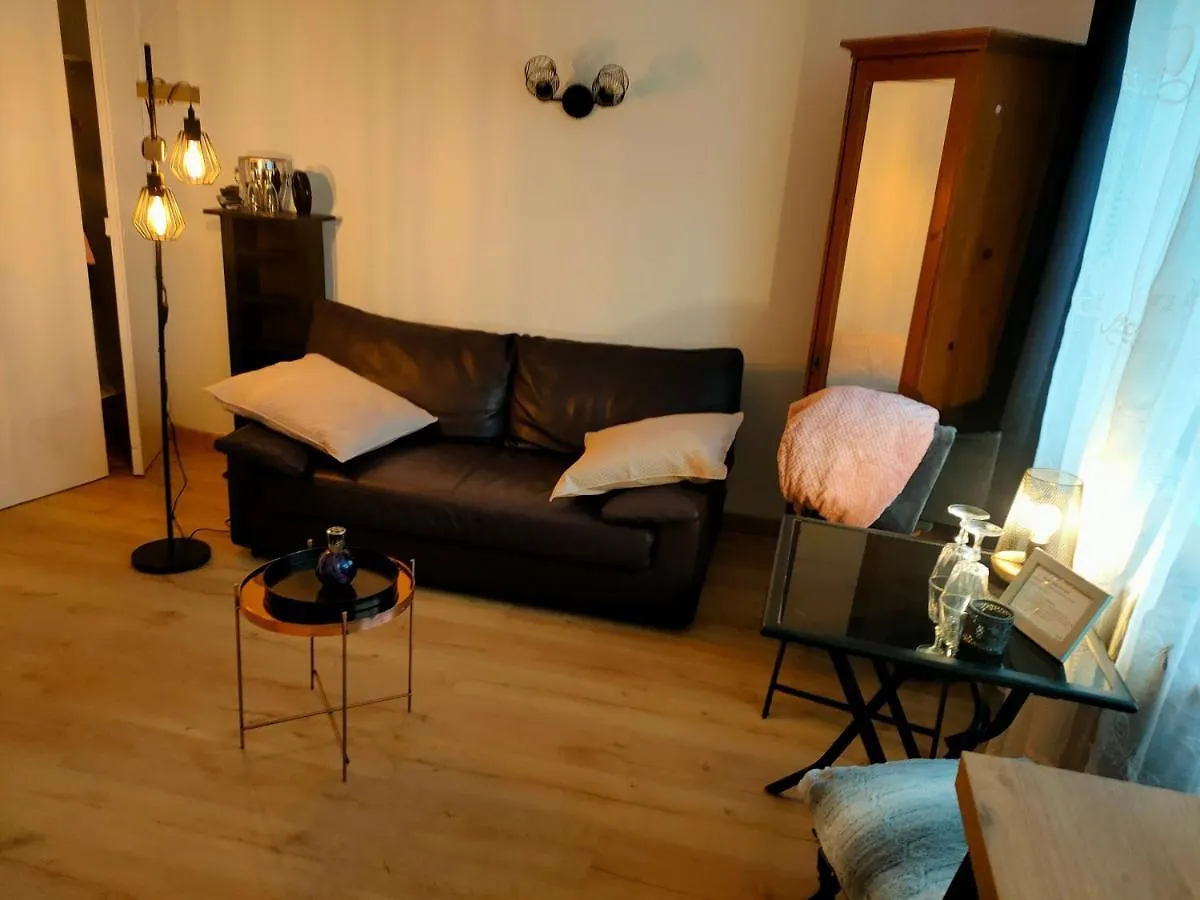 Apartment La Lilloise Villeneuve D'Ascq Gd Stade Mauroy
